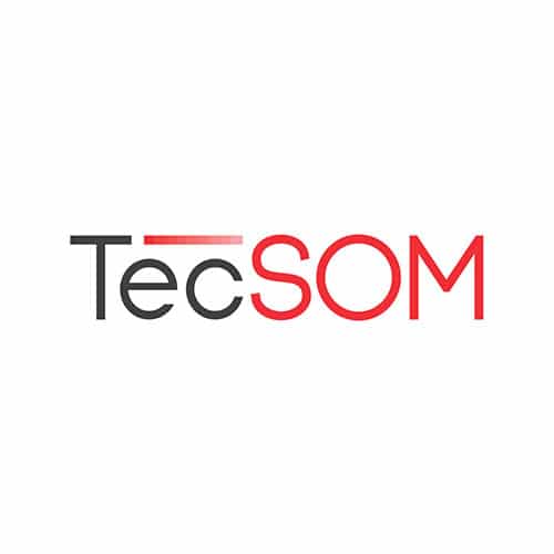 logo-tecsom